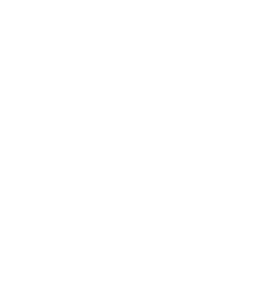 Shopify Plus