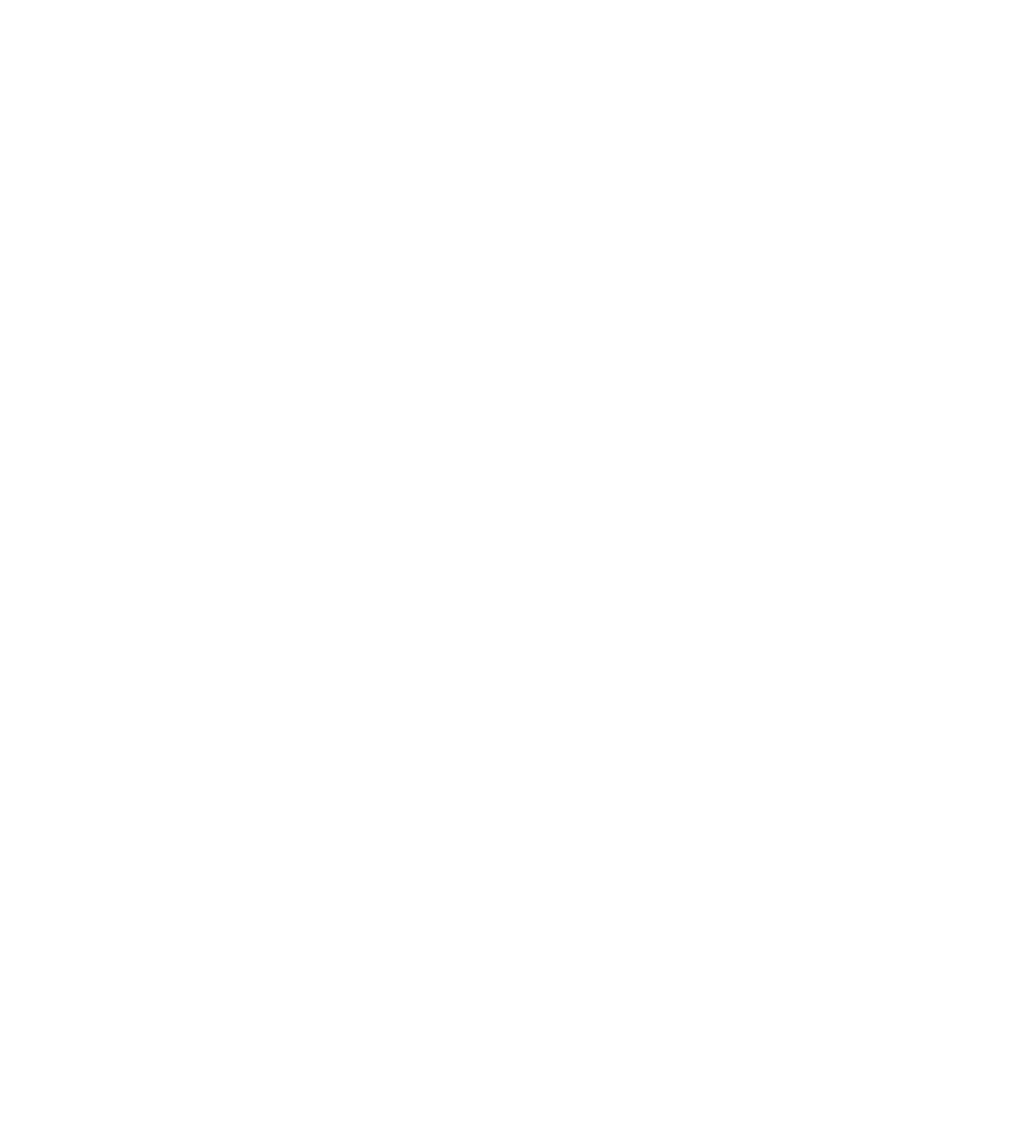 Shopify Migration Services