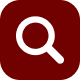 Search & Merchandising